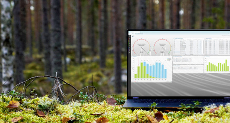 A laptop computer displaying Monitor ERP sitting on top of a moss covered ground surrounded by trees.