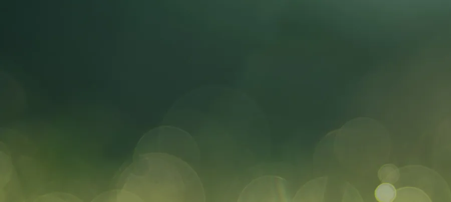 A close up of grass with water drops on it.