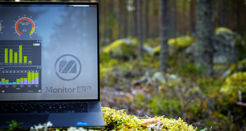 Illustration of Monitor ERP dashboards on a screen placed in nature, symbolizing sustainability.