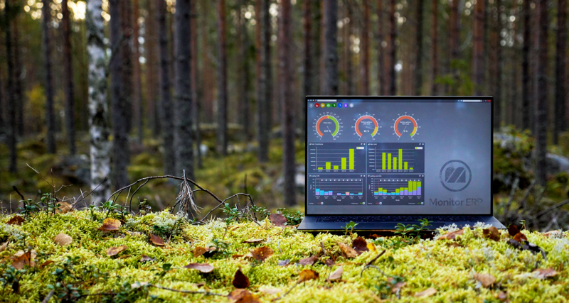 Illustration of Monitor ERP dashboards on a screen placed in nature, symbolizing sustainability.
