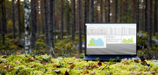 A laptop computer sitting on top of a moss covered field.