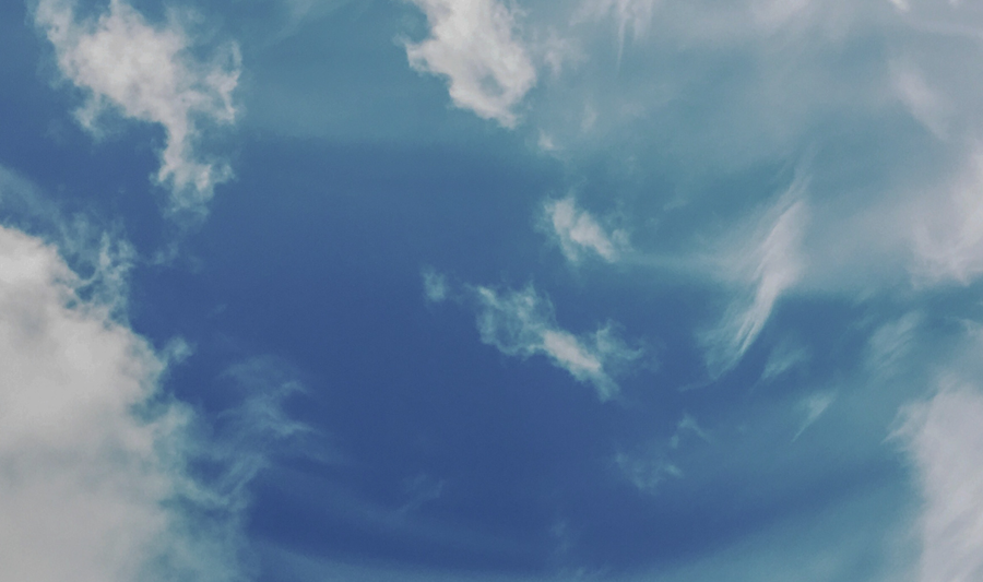 GoCloud - Make the move from a local installation to our cloud solution: easy, secure, and always up-to-date.